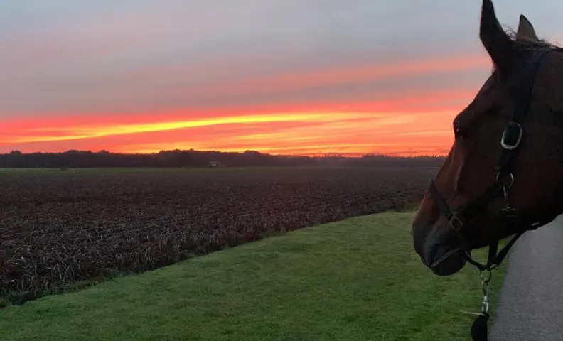 Onze boerderij