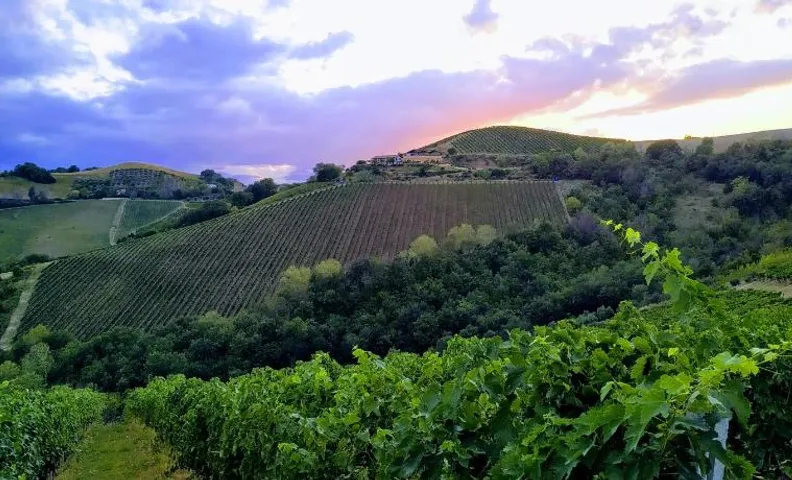 Agricola Lanciani