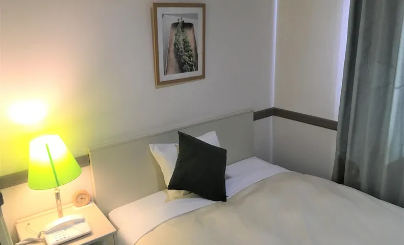 마쓰모토 웰턴 호텔