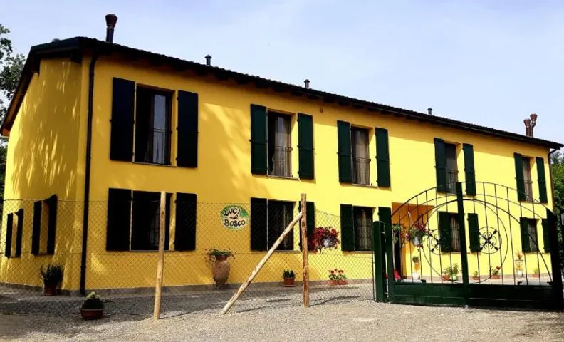 Luci nel Bosco B&B