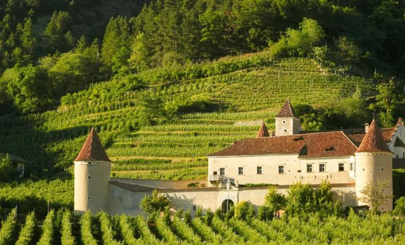 Schloss Goldrain - Bildungshaus Gästehaus