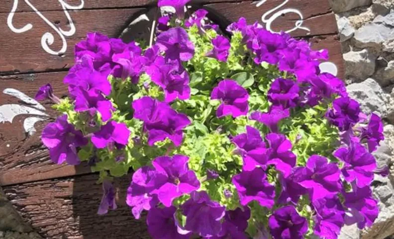 B&B Il Melograno