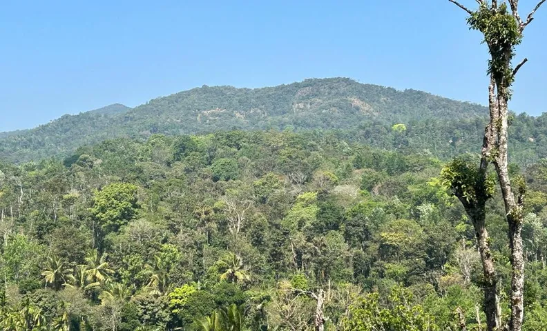 Kishans Mountain view stay