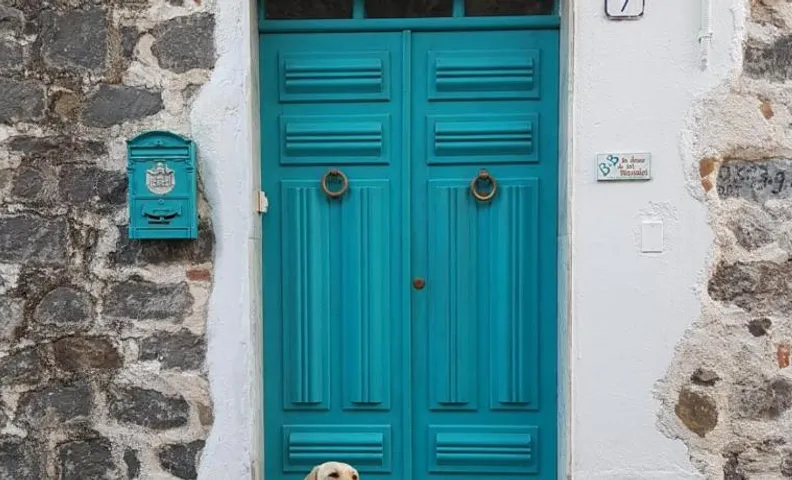 B&B Sa domo de sos Massaios