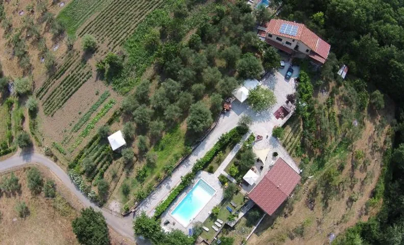 TENUTA MARTINO