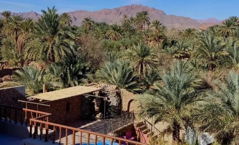 Riad IZRAREN - FIGUIG