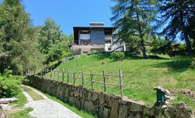 il larice d' oro