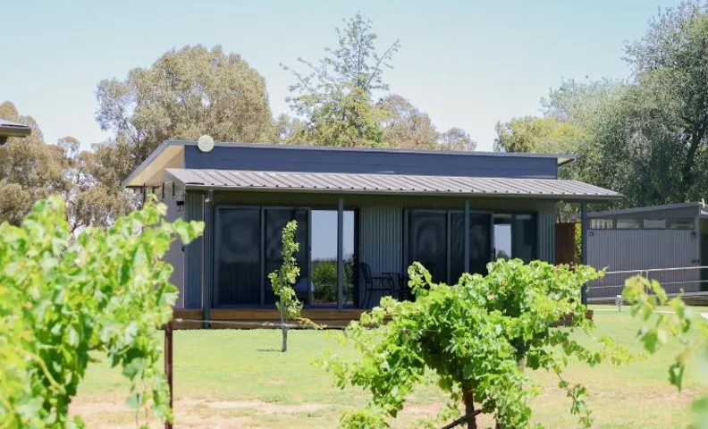Buller Wines