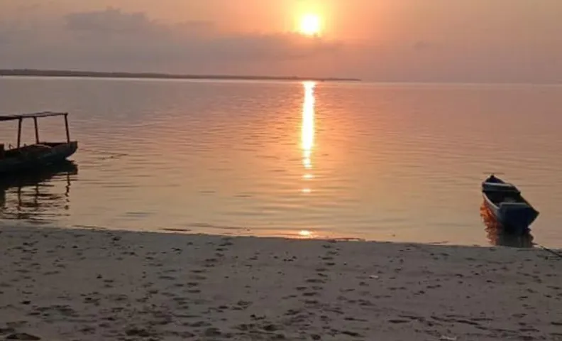 Hoga Island Dive Resort