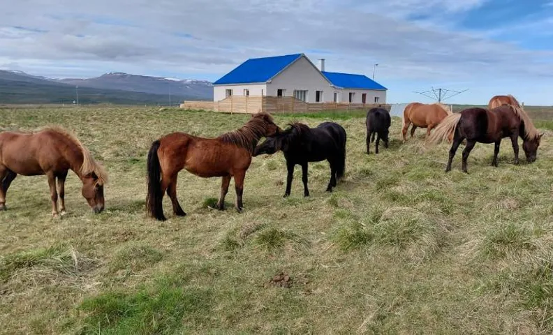 Árbakki-Guesthouse near Egilsstaðir