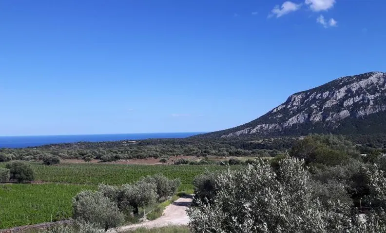 Agriturismo Su Barcu