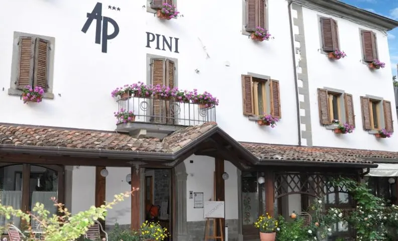 Hotel Pini