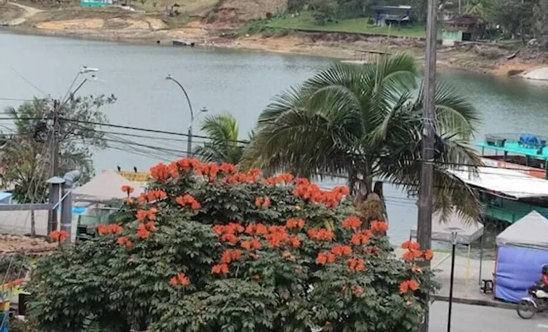 호텔 소칼로스 이 콜로레스