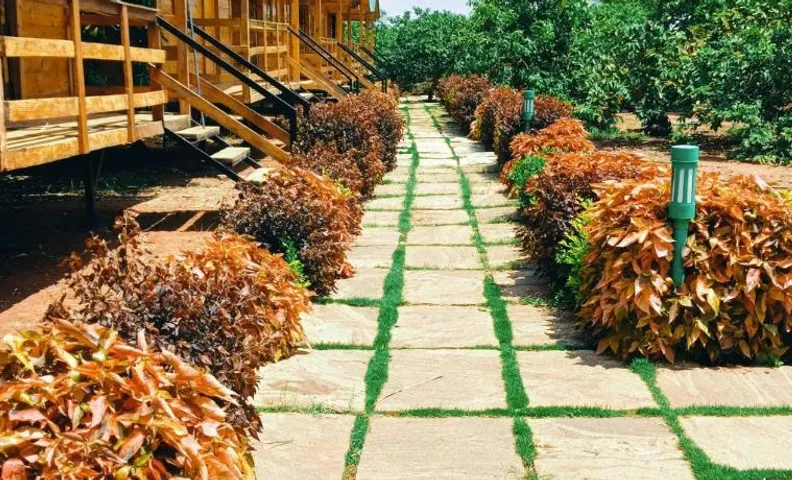 Nenapu Resorts