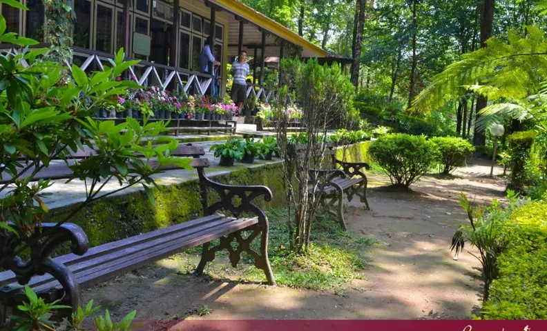 Lampokhari Village Resort - Aritar
