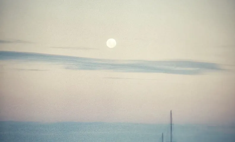 코리건스 코브
