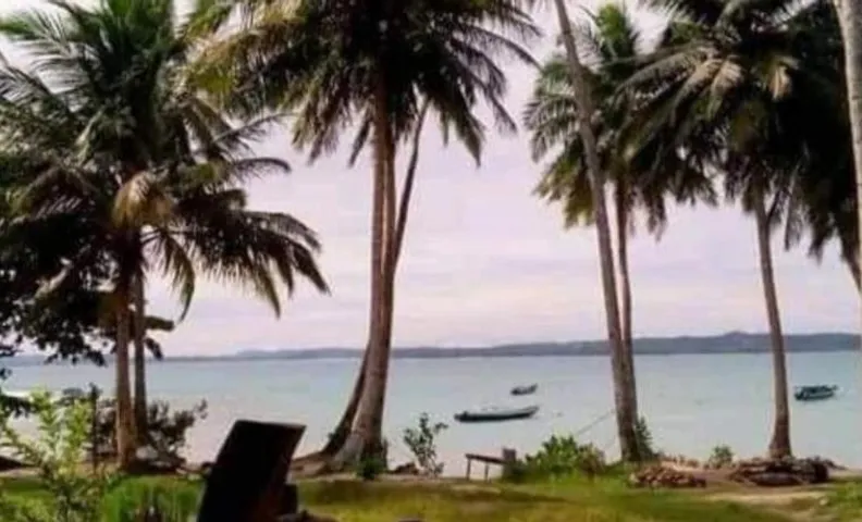 Nyang Ebay Surf Camp Siberut E"bay 1 minute walking Beng-Beng 5 minute walking,Pitstop 10 minute wal