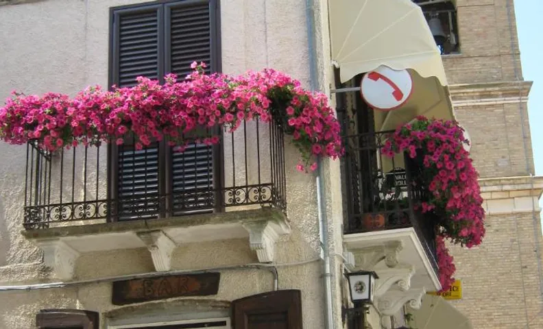 Bed & Breakfast "Il Ghiro"