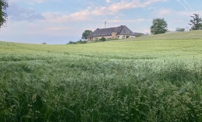 Rehmanns Hof
