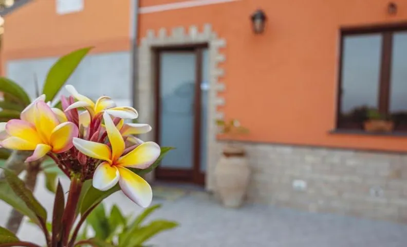 La Pomelia B&b Sofia
