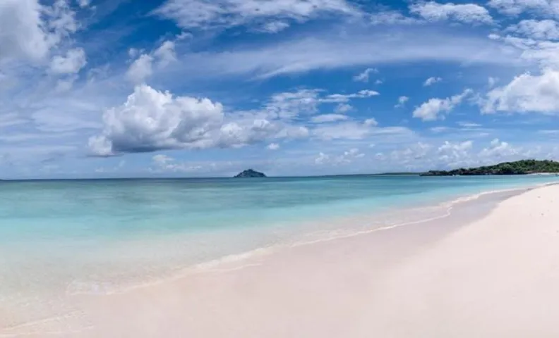Sardine Beach Rote