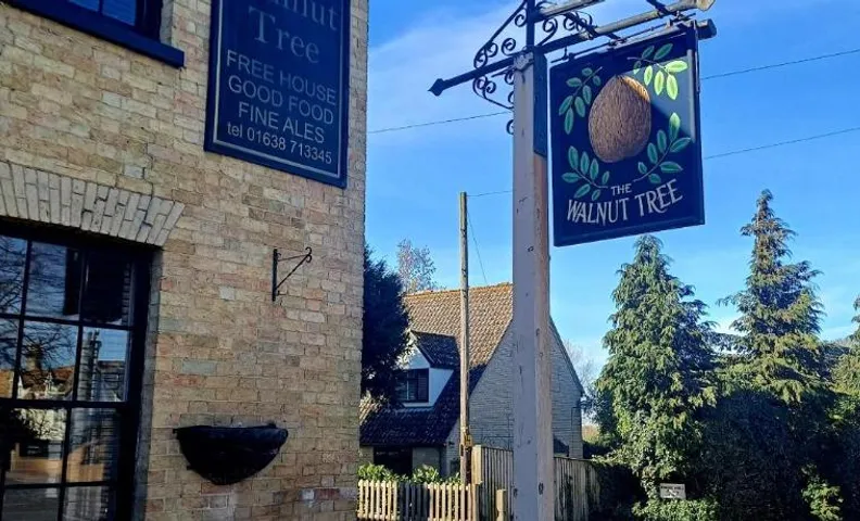 the walnut tree