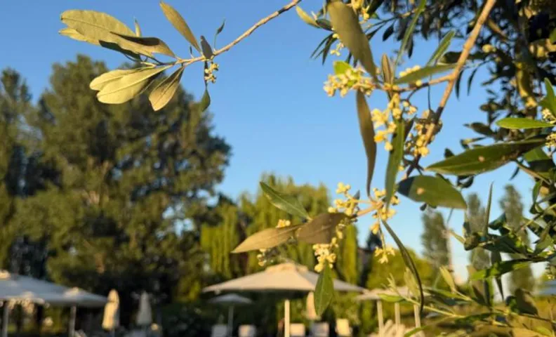 Agriturismo I Bosconi