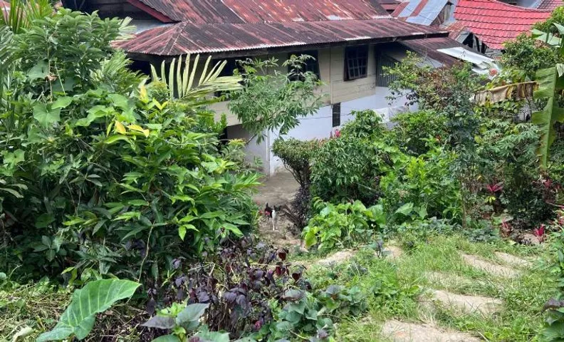 Mamasa Local House