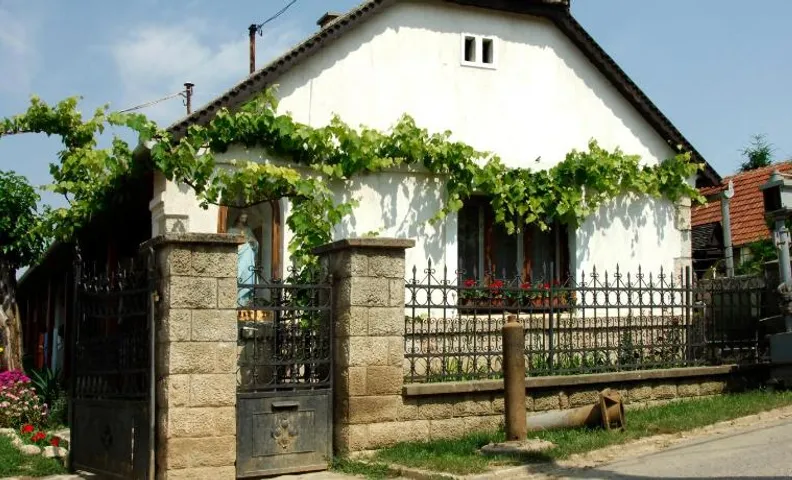 Pataky Borporta