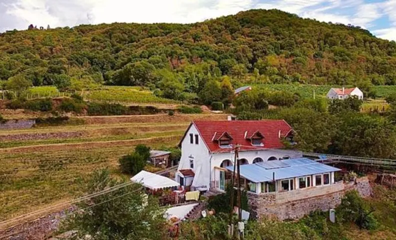 Inhauser Pincészet&Guesthouse&Restaurant