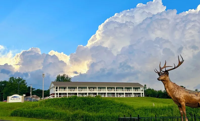 Blue Vista Motor Lodge
