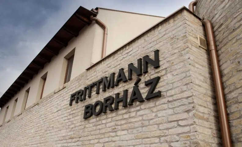 Frittmann Borhaz es Panzio