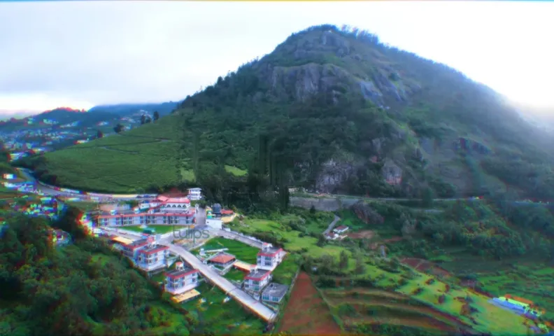 Tulips Village Resorts