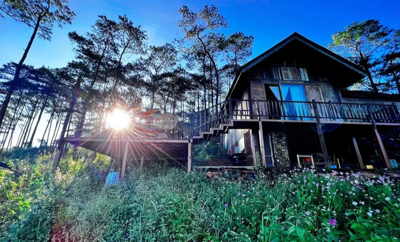 Layla Forest Retreat