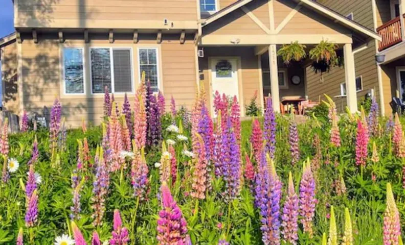 Central Tacoma Homestay with breakfast included -private room-