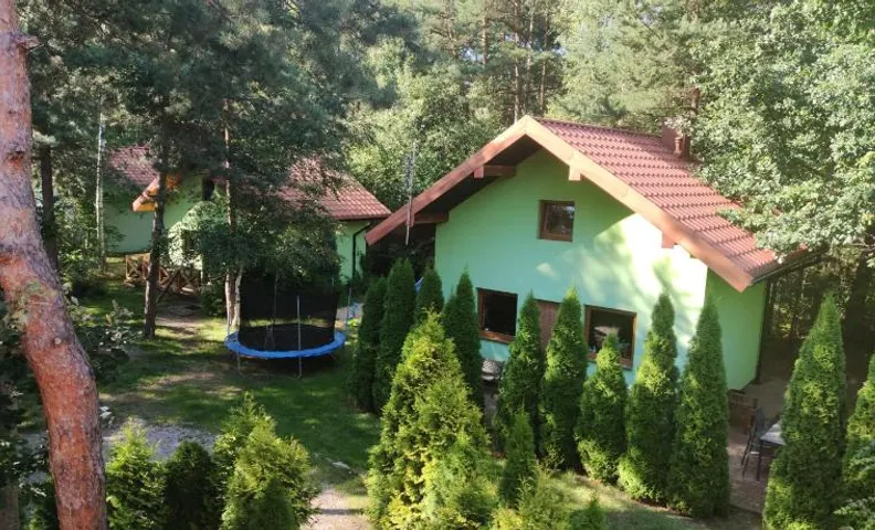 Niezapominajka jura