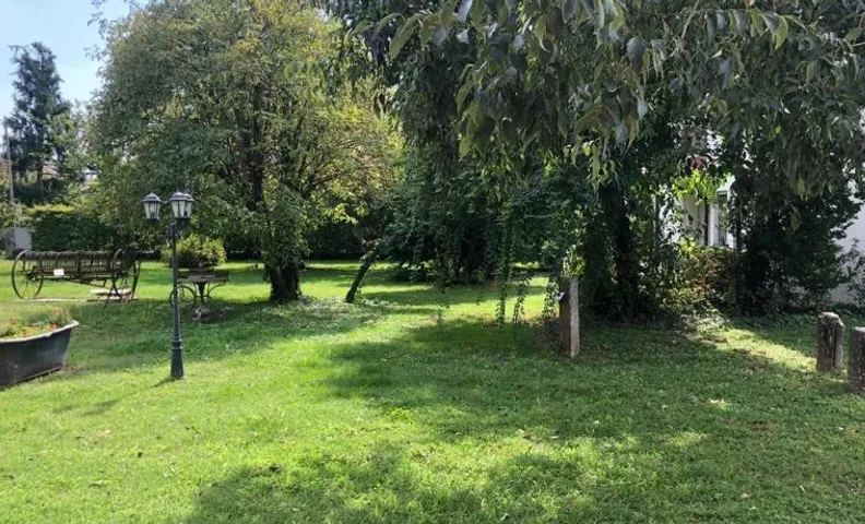 Ai Tigli