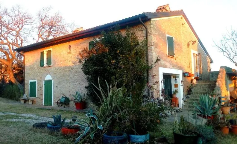 la cana dolce