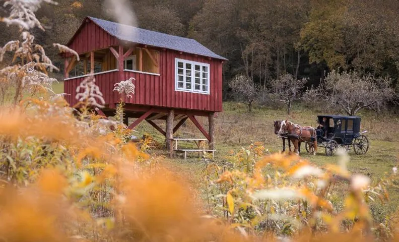 Valea Verde Retreat Transilvania