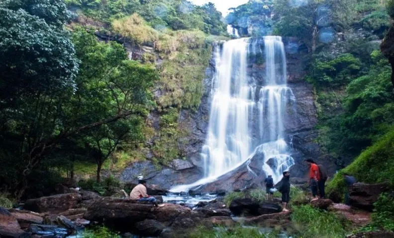 Kemmannugundi Hill Resort-Jungle Lodges
