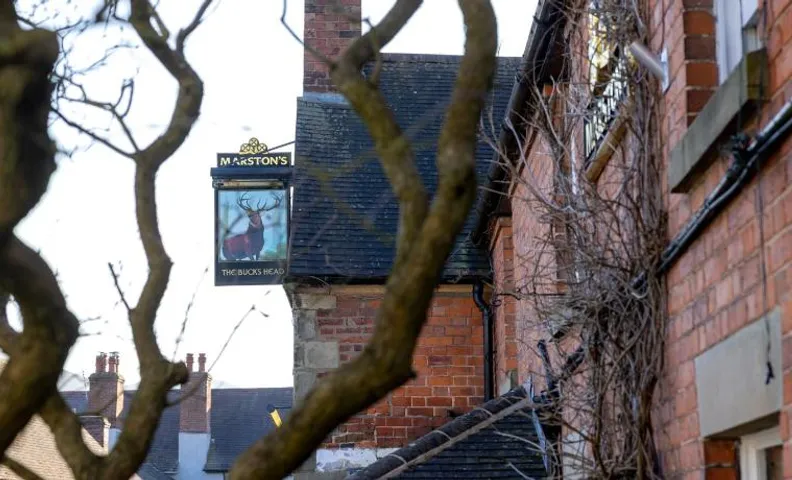 The bucks head