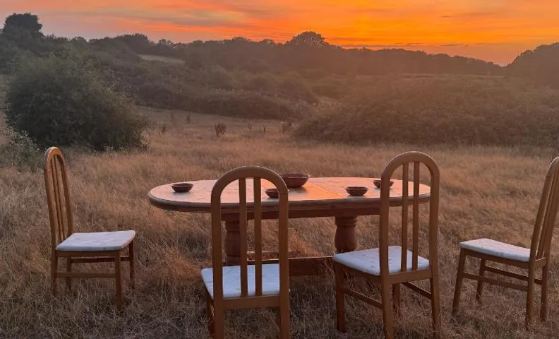 Sunset and Swallows