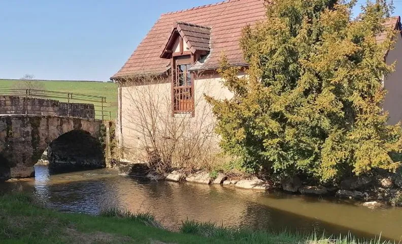 Gite Fée Grenouille