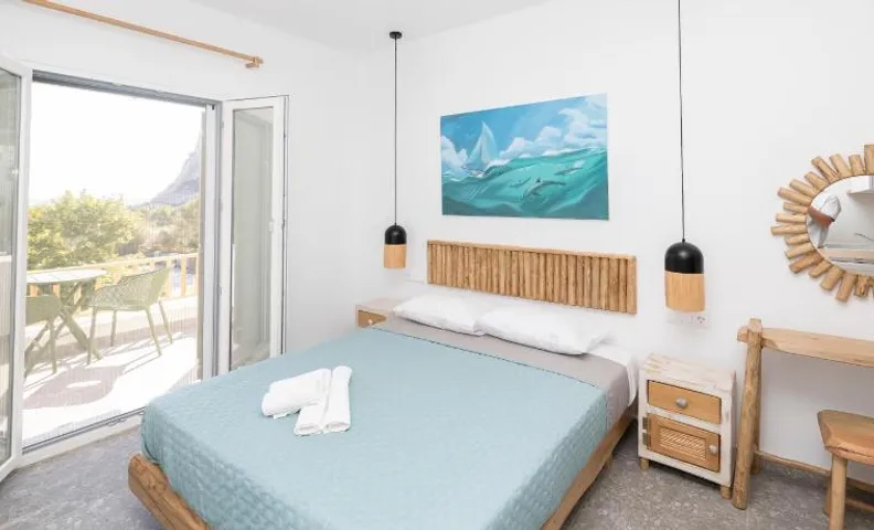 Delfinaki Boutique Apartments Lionas beach ,Naxos