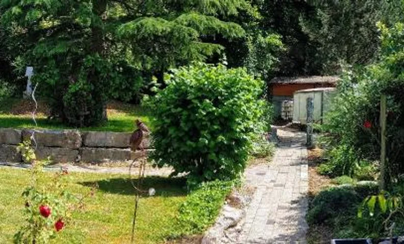 Pension-Am Waldrand