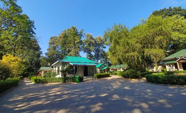 Tuskers Den Forest Resort