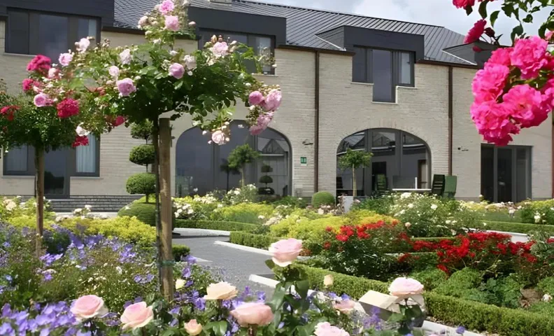 B&B La Vie En Roses
