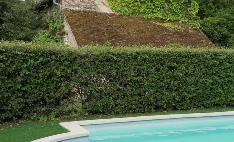 B&B LA FESSARDIERE Piscine - Jacuzzi