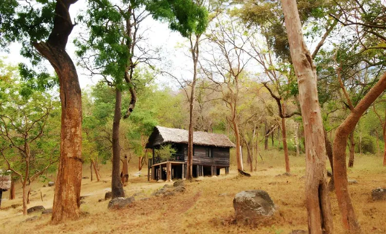 K Gudi Wilderness Camp-Jungle Lodges