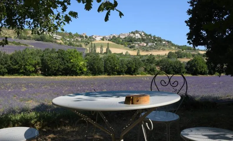La Bergerie en Provence